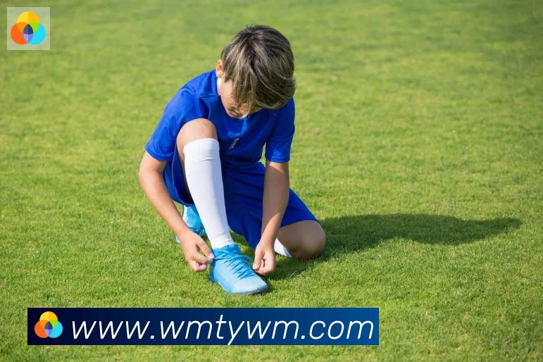 完美体育平台生态图