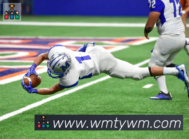 完美体育APP 封面图