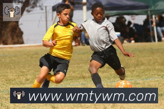 完美体育全站App